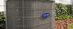 Close-up view of the metallic grille body of a grey outdoor Carrier air conditioning unit, featuring the classic blue oval Carrier logo emblem, installed next to backyard landscaping and green foliage.